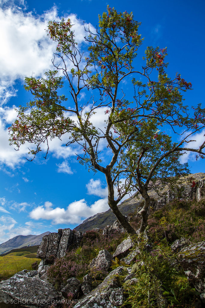 Glen Coe