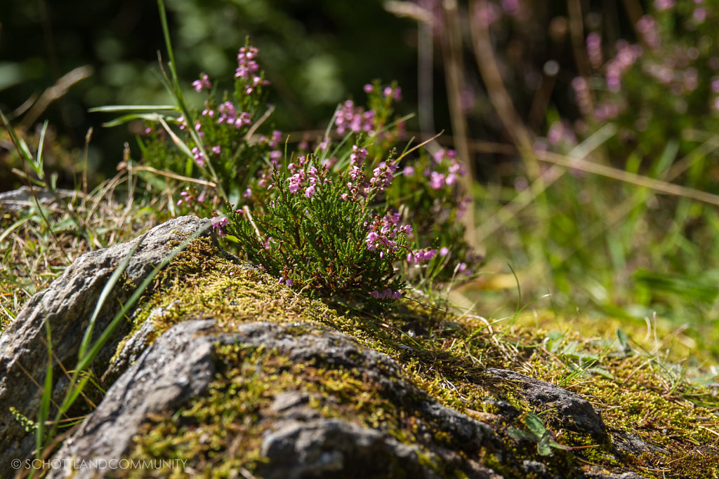 Glen Coe