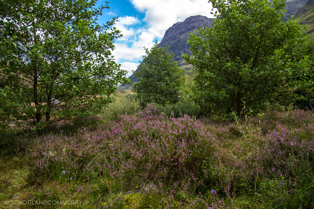 Glen Coe