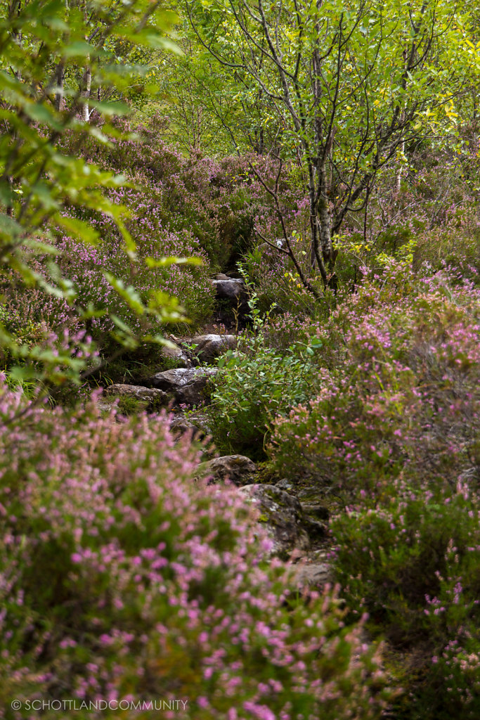 Glen Coe