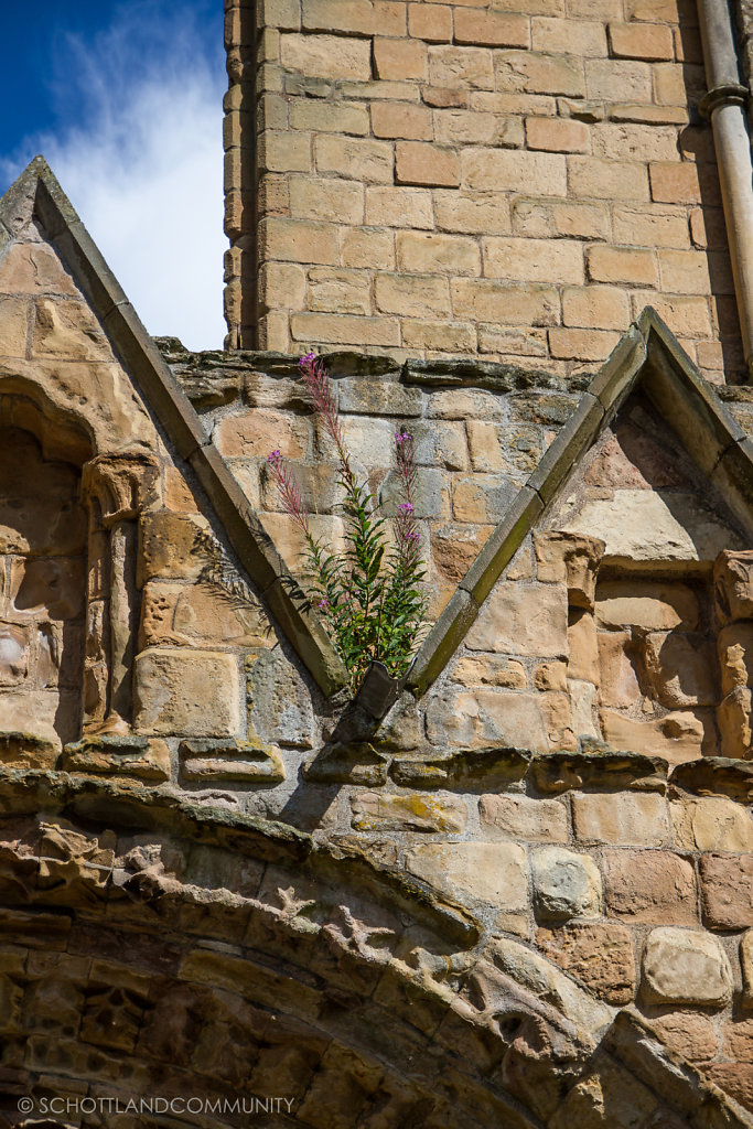 Jedburgh Abbey